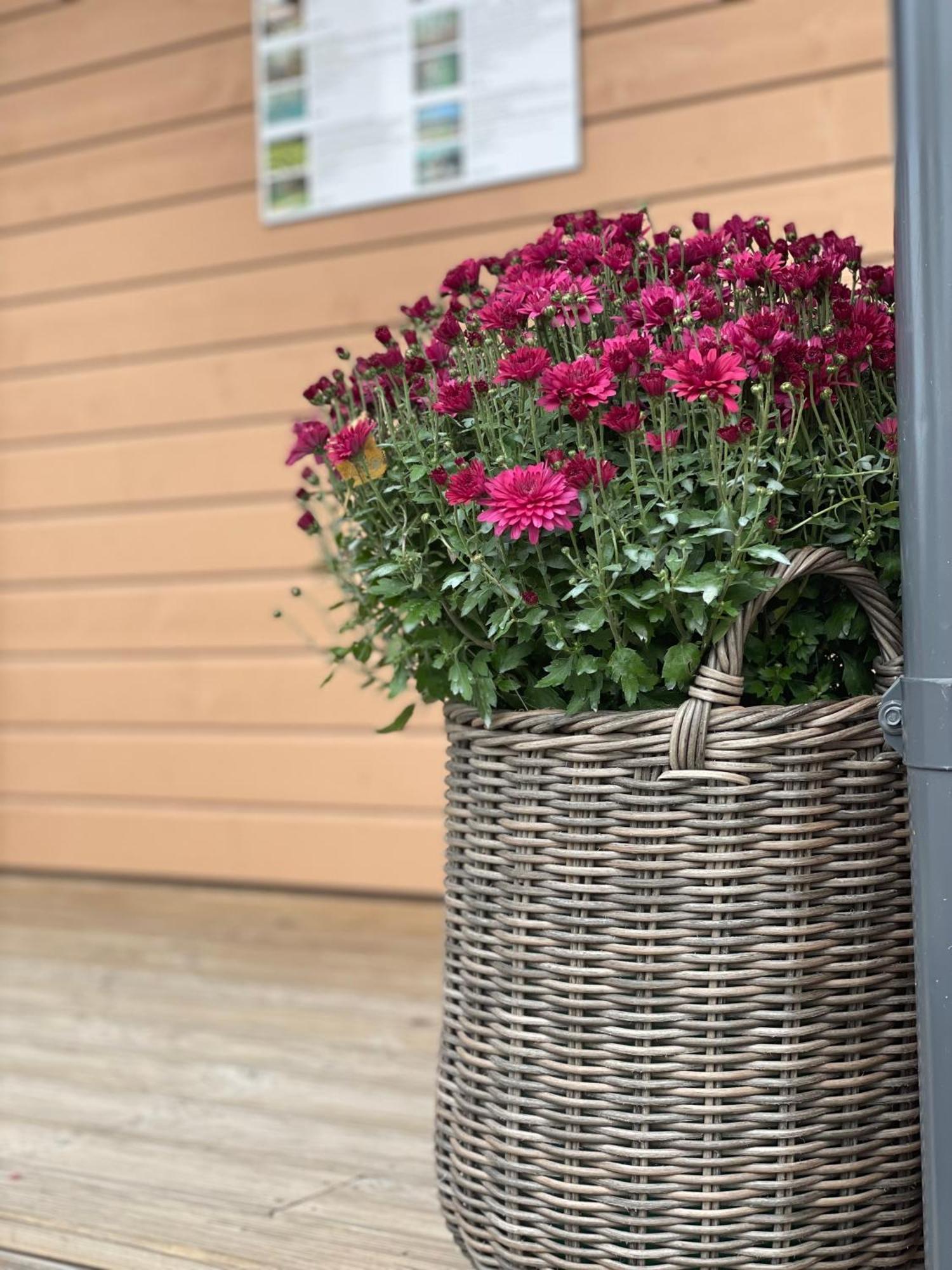 Bestes Apartamenti Koceni エクステリア 写真