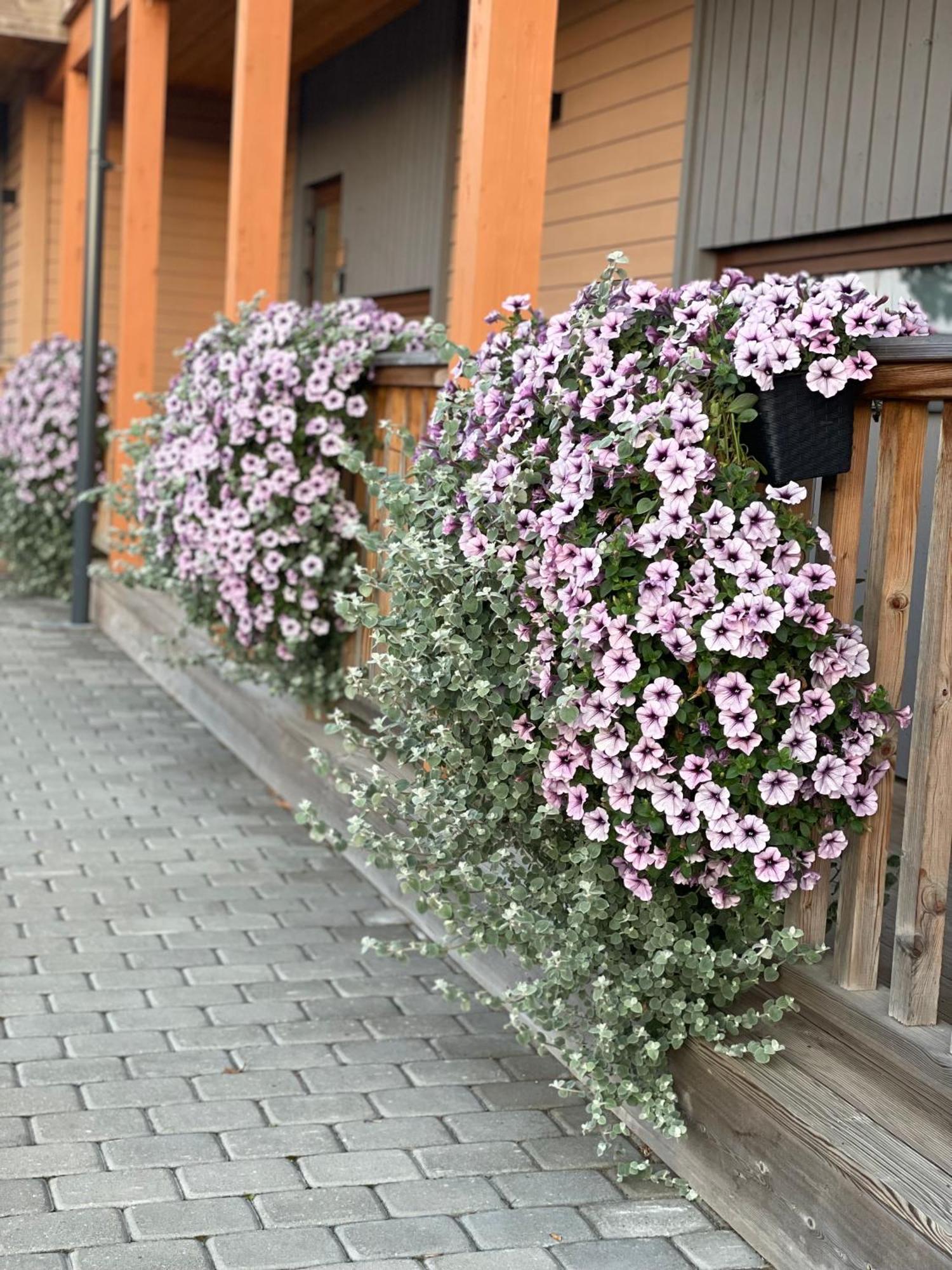 Bestes Apartamenti Koceni エクステリア 写真